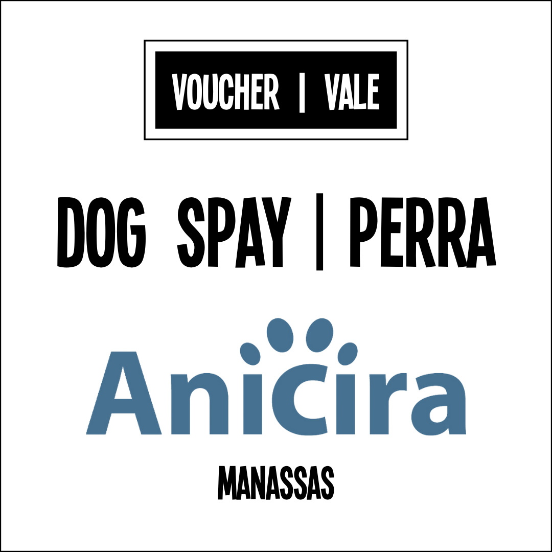 Dog spay voucher Anicira Vale de esterilización para una perra