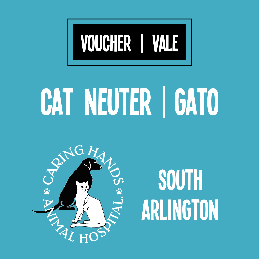 Cat Neuter Vouchers Vales de Castración para Gatos Animal Welfare