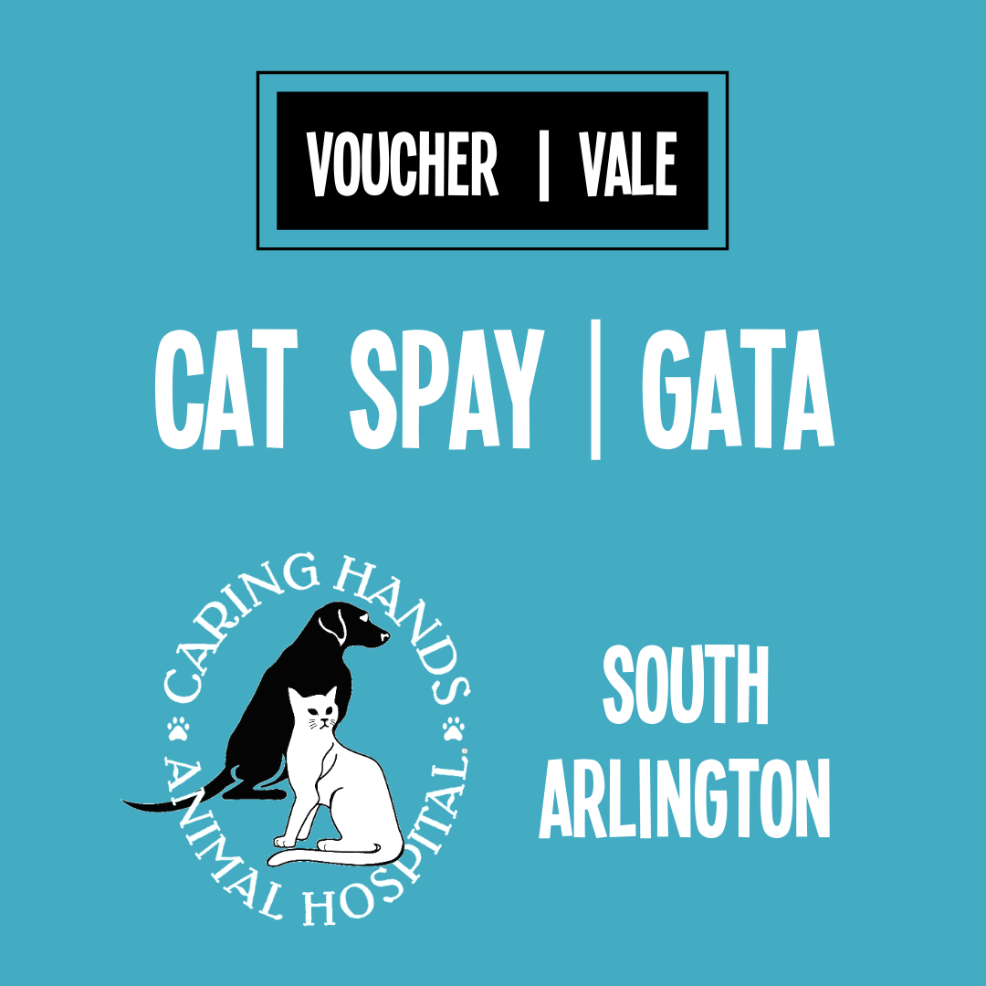 Cat spay voucher Caring Hands S. Arlington Vale de esterilización para una gata Caring