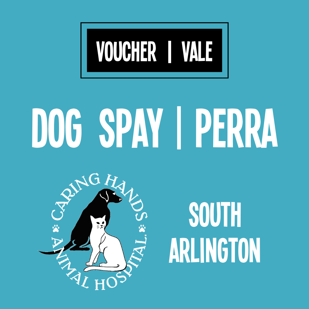 Shop All Animal Welfare League of Arlington LowCost Spay/Neuter Vouchers