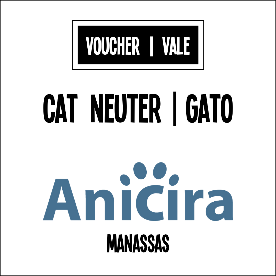 Cat neuter voucher Anicira Vale de castración para un gato Anicira